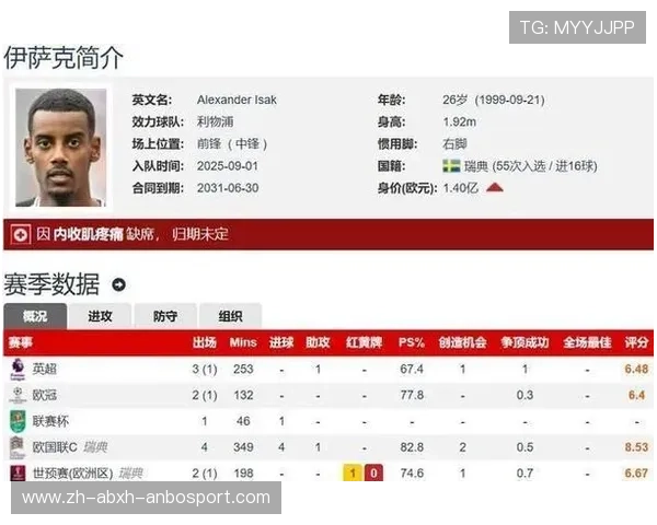 新赛季晋级英超的升班马球队介绍及前景预测