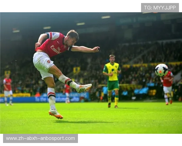 英超球队观赏性:观众喜爱的英超比赛与球员表现