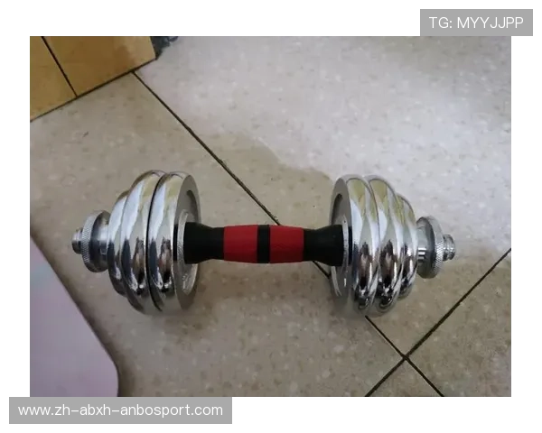 老年健身器材大全：适合老年人的健身器材推荐